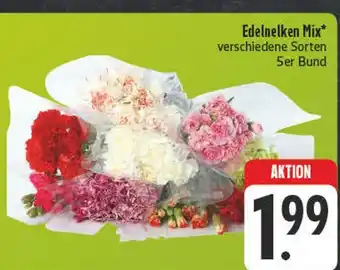 E-Center Edelnelken mix Angebot