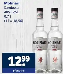 Getränkewelt Molinari sambuca Angebot