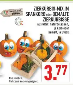 Marktkauf Zierkürbis-mix im spankorb Angebot