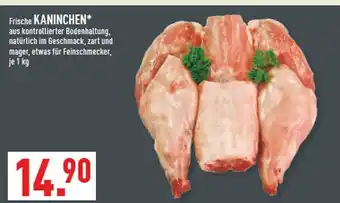 Marktkauf Frische kaninchen Angebot