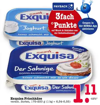 E-Center Exquisa joghurt Angebot