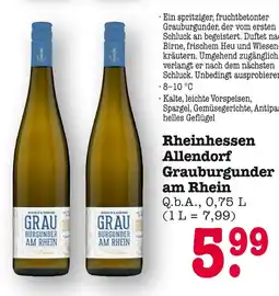 E-Center Rheinhessen allendorf grauburgunder am rhein Angebot