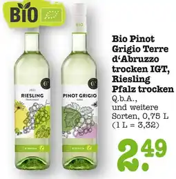 E-Center Bio pinot grigio terre d’abruzzo trocken igt Angebot