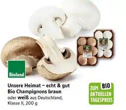E-Center Bioland ider unsere heimat − echt & gut bio champignons braun oder weiß Angebot