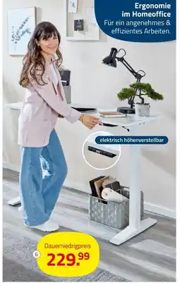ROLLER Schreibtisch Angebot
