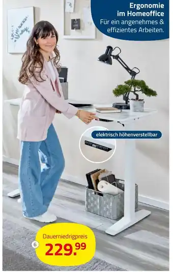 ROLLER Schreibtisch Angebot