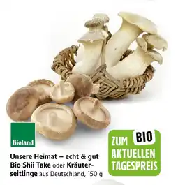 E-Center Bioland bio shiitake Angebot