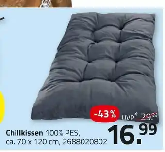 ROLLER Chillkissen Angebot