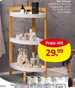 ROLLER Bad-eckregal Angebot
