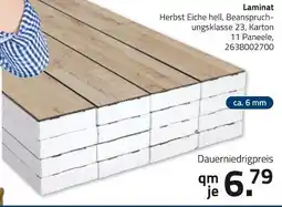 ROLLER Laminat Angebot