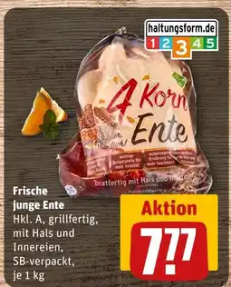 REWE Frische junge ente Angebot
