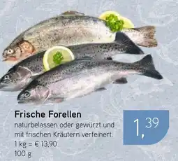 Dornseifer Frische Forellen Angebot