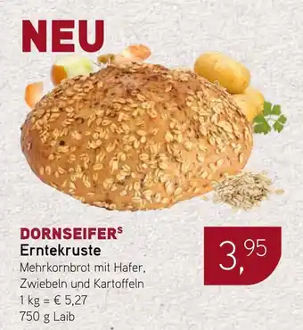 Dornseifer DORNSEIFER Erntekruste Angebot