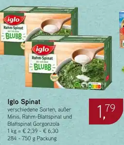 Dornseifer Iglo Spinat Angebot
