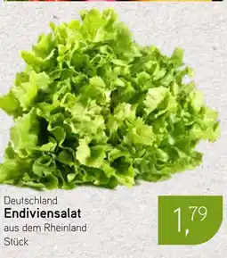 Dornseifer Deutschland Endiviensalat Angebot