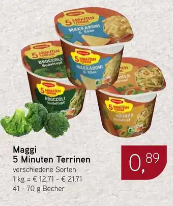 Dornseifer Maggi 5 Minuten Terrinen Angebot