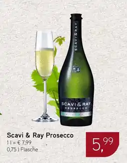 Dornseifer Scavi & Ray Prosecco Angebot