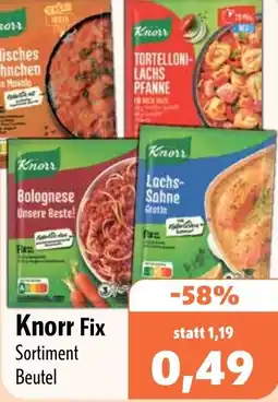 Aktiv Irma Knorr Fix Sortiment Beutel Angebot