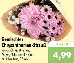 Aktiv Irma Gemischter Chrysanthemen-Strauß Angebot