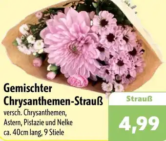 Aktiv Irma Gemischter Chrysanthemen-Strauß Angebot