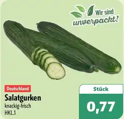Aktiv Irma Salatgurken Angebot