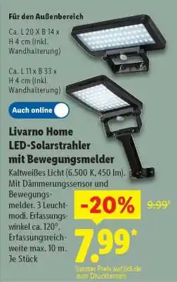 Lidl LIVARNO home LED-Solarstrahler mit Bewegungsmelder Angebot
