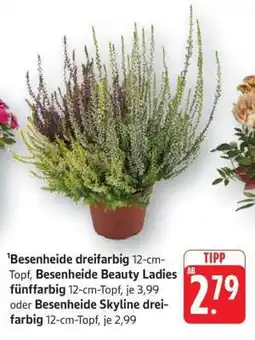 Edeka Besenheide dreifarbig Angebot