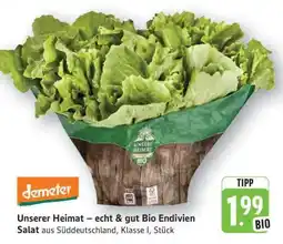 Edeka Unserer Heimat – echt & gut Bio Endivien Salat Angebot
