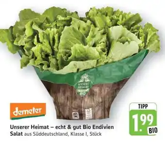 Edeka Unserer Heimat – echt & gut Bio Endivien Salat Angebot