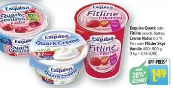 Edeka Exquisa Quark oder Fitline Angebot