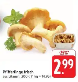Edeka Pfifferlinge frisch Angebot