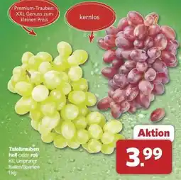 Famila Nord Ost Tafeltrauben hell oder rot Angebot