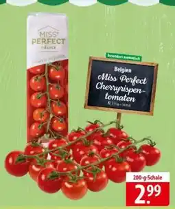 Famila Nord Ost Miss Perfect Cherryrispentomaten Angebot