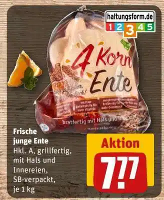 REWE 4 Korn Ente Angebot