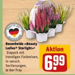 REWE Besenheide Beauty Ladies Starlight Angebot
