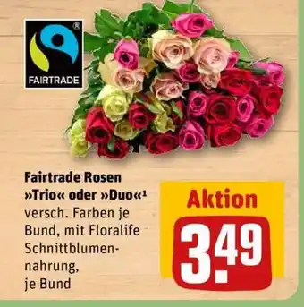 REWE Fairtrade Rosen Trio oder Duo Angebot