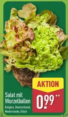 Aldi Nord Salat mit Wurzelballen Angebot