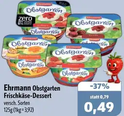 Aktiv Irma Ehrmann Obstgarten Frischkäse-Dessert Angebot