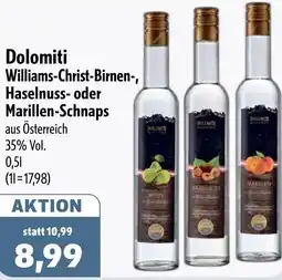 Aktiv Irma Dolomiti Williams-Christ-Birnen-, Haselnuss- oder Marillen-Schnaps Angebot