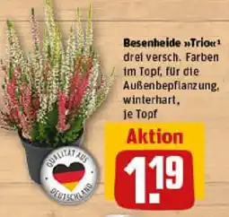 REWE Besenheide Trio Angebot