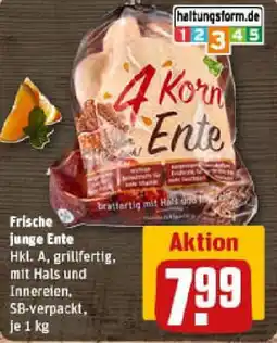 REWE Frische junge Ente Angebot
