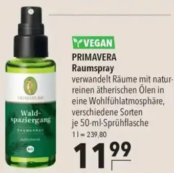 CITTI Markt PRIMAVERA Raumspray Angebot