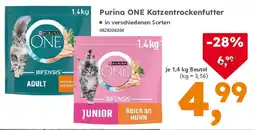 Globus Baumarkt Purina ONE Katzentrockenfutter Angebot