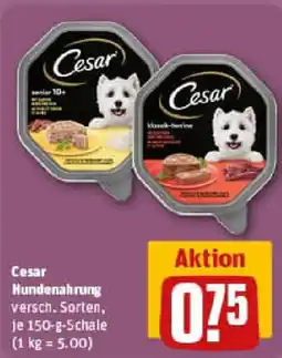 REWE Cesar Hundenahrung Angebot