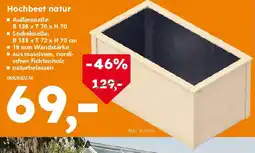 Globus Baumarkt Hochbeet natur Angebot