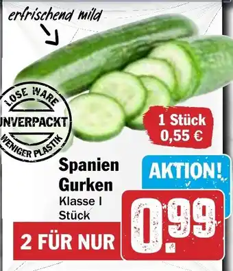 HIT Spanien Gurken Angebot