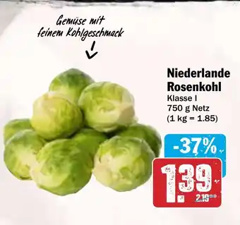 HIT Niederlande Rosenkohl Angebot