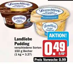 HIT Landliebe Pudding Angebot