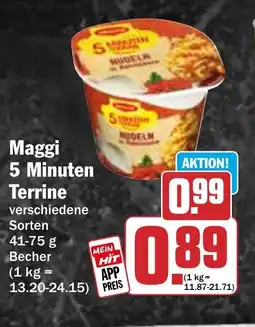HIT Maggi 5 Minuten Terrine Angebot