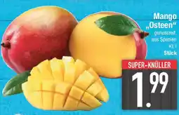 E-Center Mango „Osteen" Angebot